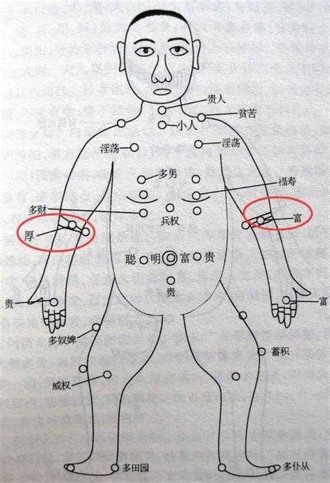 左手小臂有痣|從手上的痣看你的好運在哪？上手臂有痣善於察言觀色。